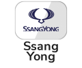 Bateria Ssang Yong